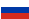 language icon